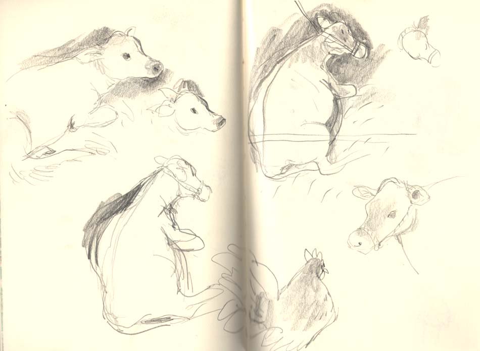 BrionyMaySmith's tweet image. Sketches from the Honiton show! #honitonshow #sketchbook Also, I have instagram now! instagram.com/brionymaysmith/