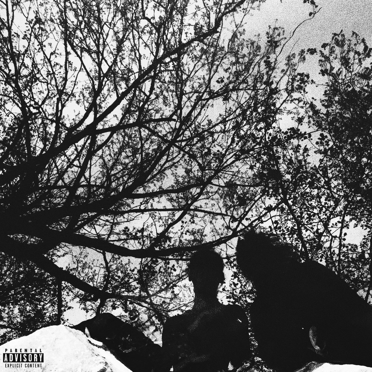 _killstation's tweet image. KILLSTATION &amp;amp; RIVERKINN - CONSANGUINITY [EP]

STREAM : bit.ly/2b0bfo3

DOWNLOAD : bit.ly/2aXWPaf