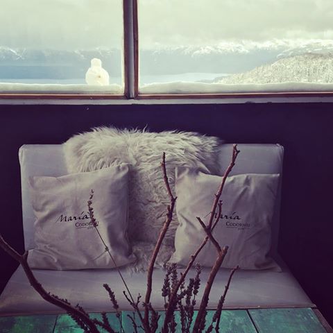 María Codorníu tweet media