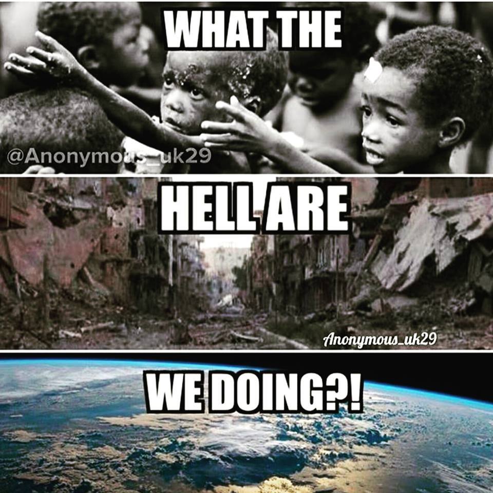 _MindFeed's tweet image. 