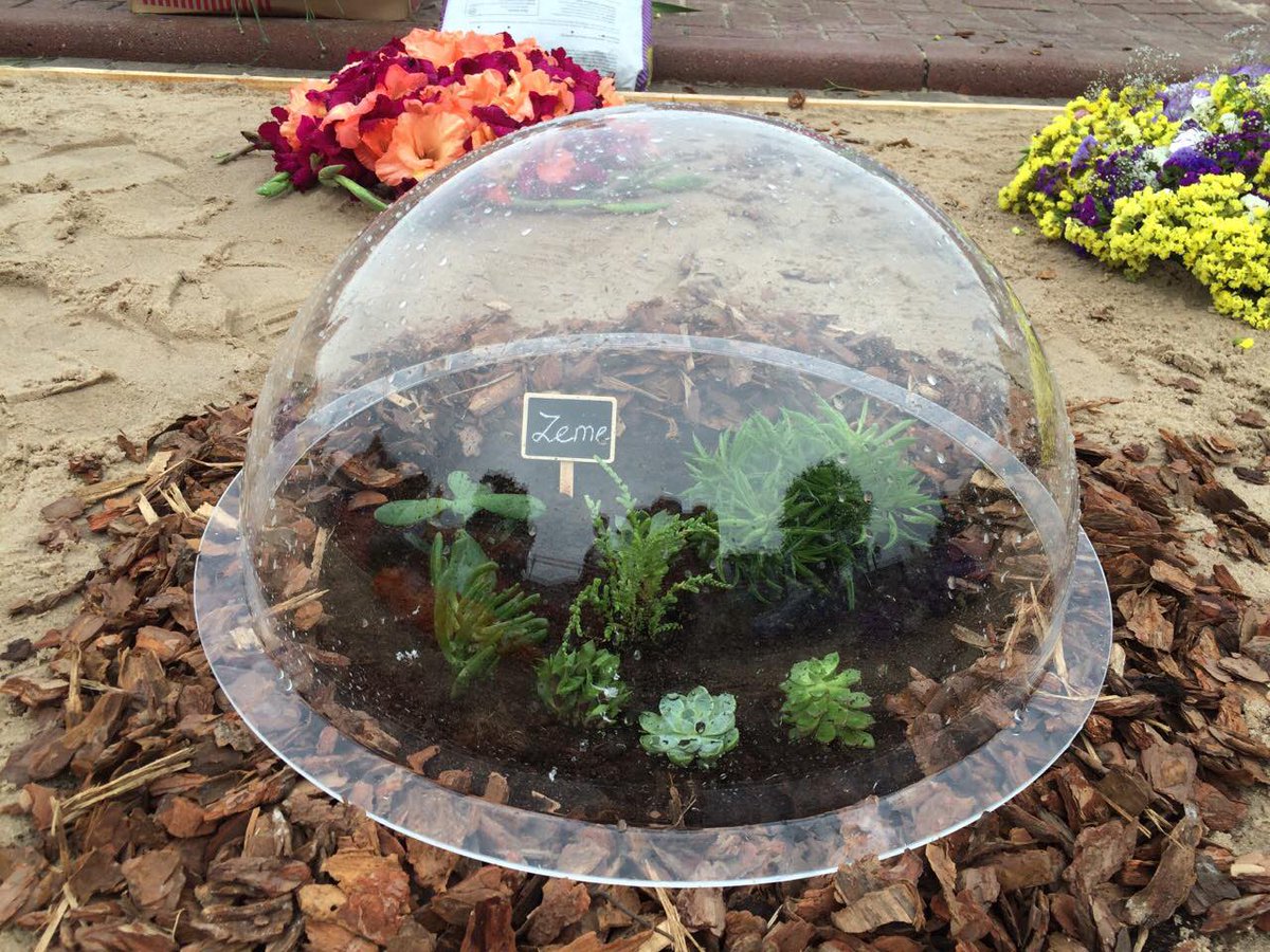 Šodien Ostas ielas promenādē sācies 16.Starptautiskais ziedu paklāju festivāls #Ventspils726 ventspils.lv/lat/pilseta/10…