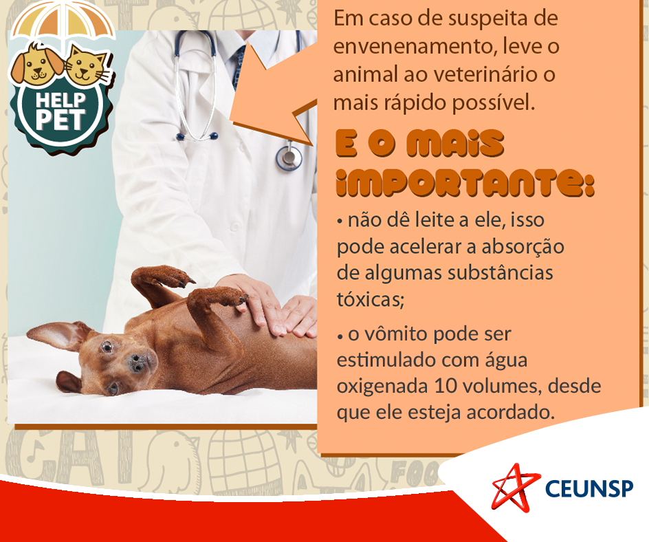 CEUNSP's tweet photo. 🐶🐱 #HelpPet: Atitudes rápidas são essenciais em caso de emergência! https://t.co/cGZB2yQoFI