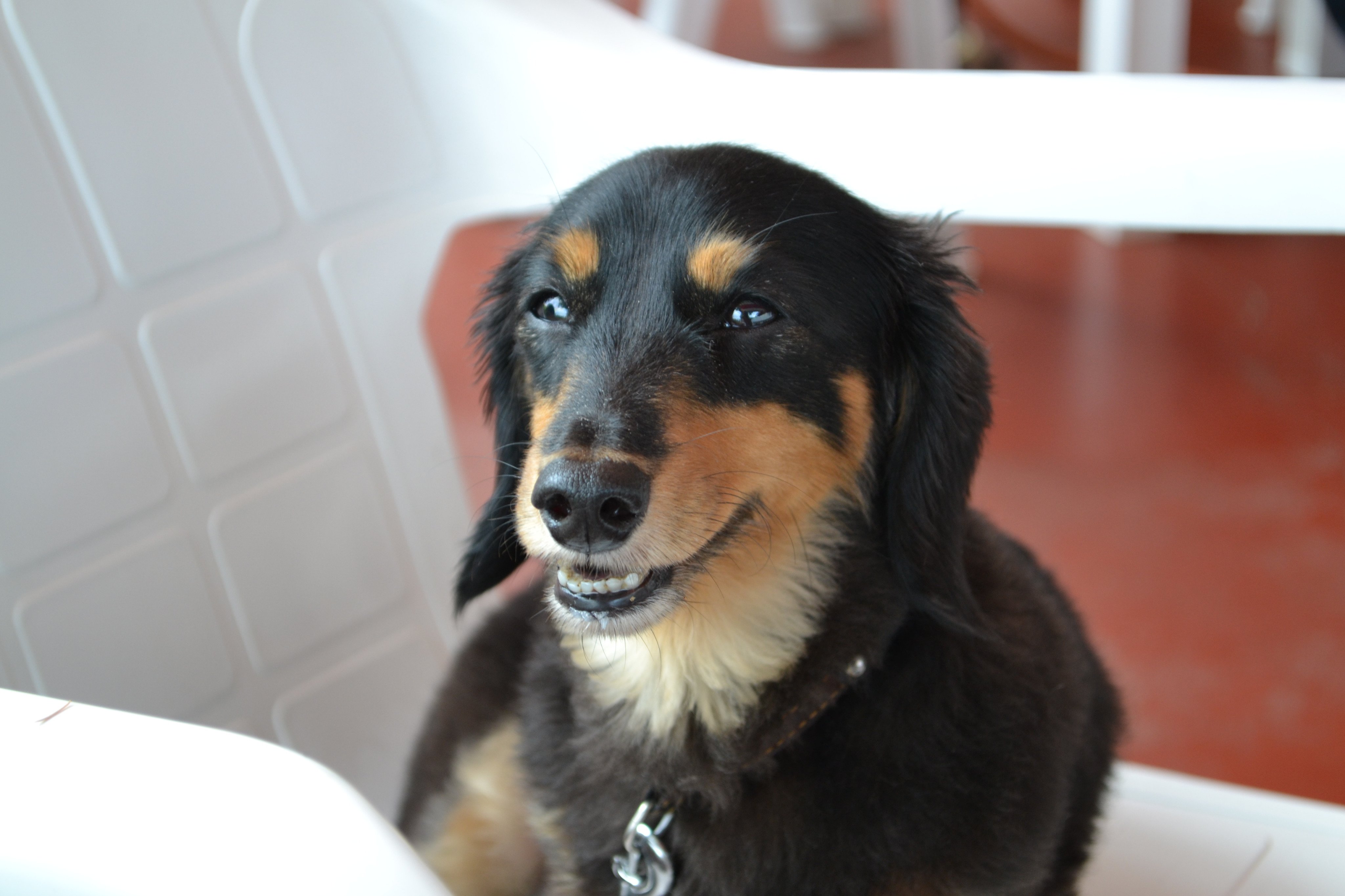 Follow こたにゃん 美冷 S Swl44jurjfujsqj Latest Tweets Twitter