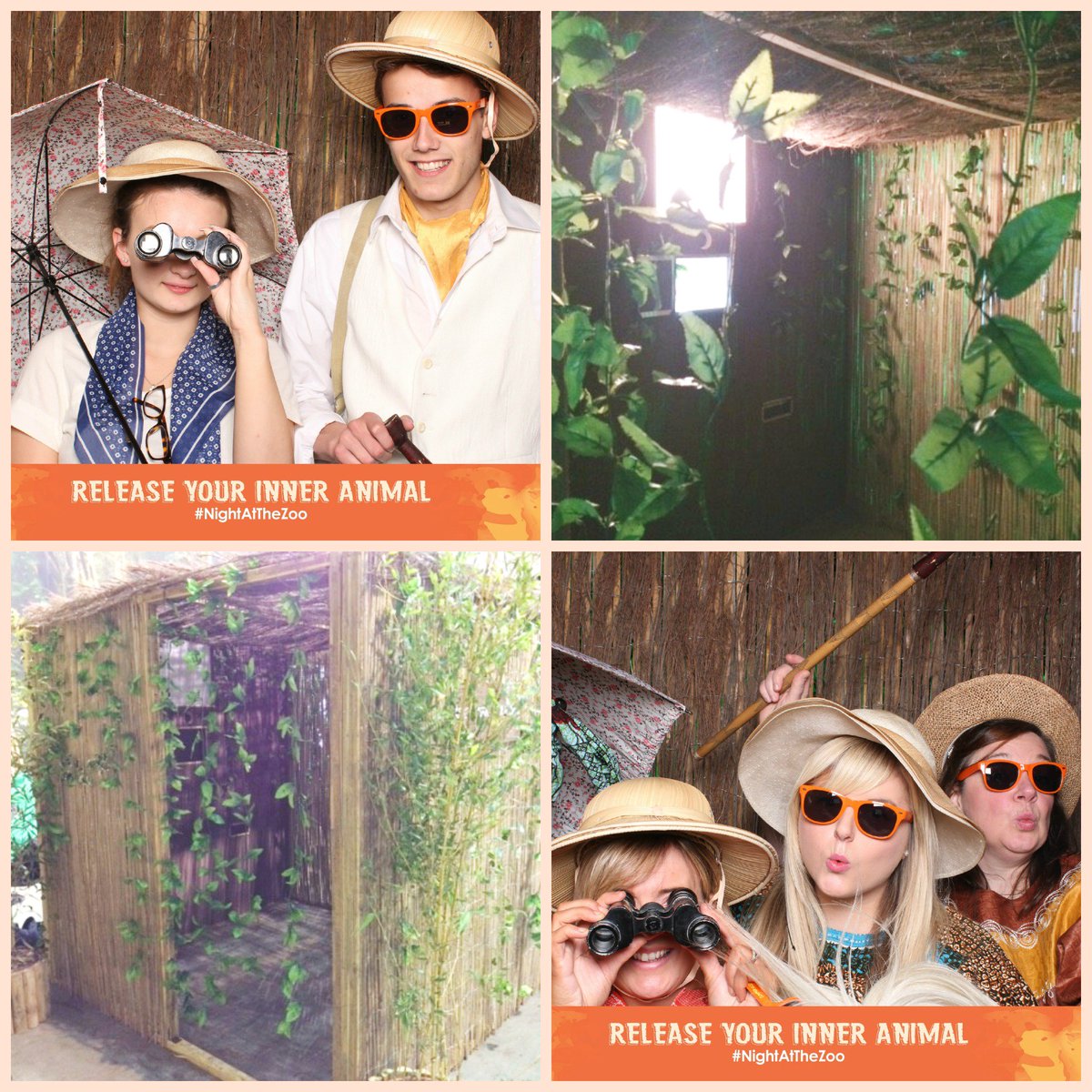 Check out some from #TheNightAtTheZoo Edinburgh Zoo! Can you spot your photos?! bit.ly/2avF4NT