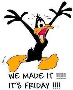 Sutterville's tweet photo. As a friend of mine always says, "It's Friiiiiiiidizzle!" https://t.co/i9Ku2K6qlc