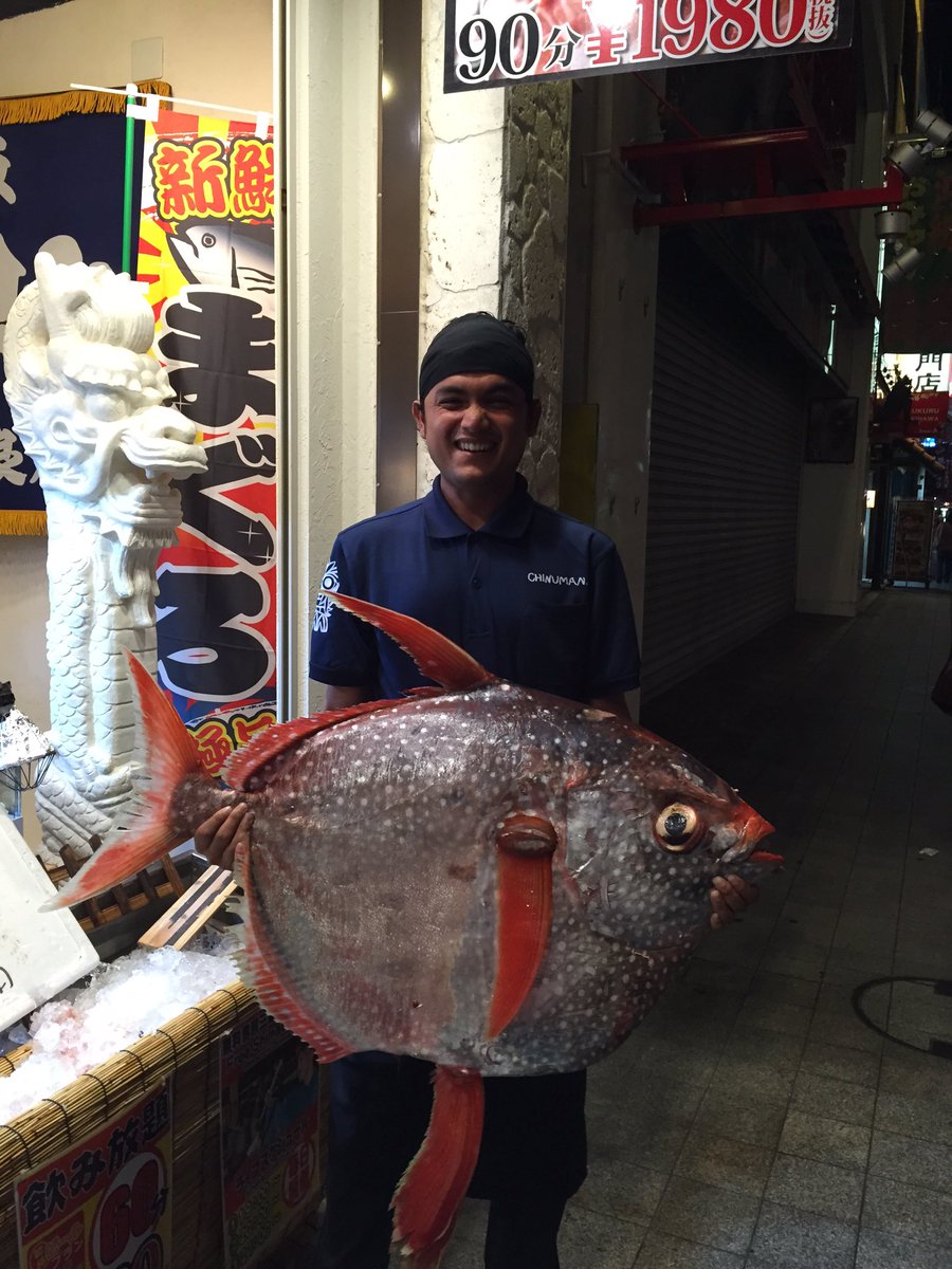 沖縄の魚 沖縄の魚