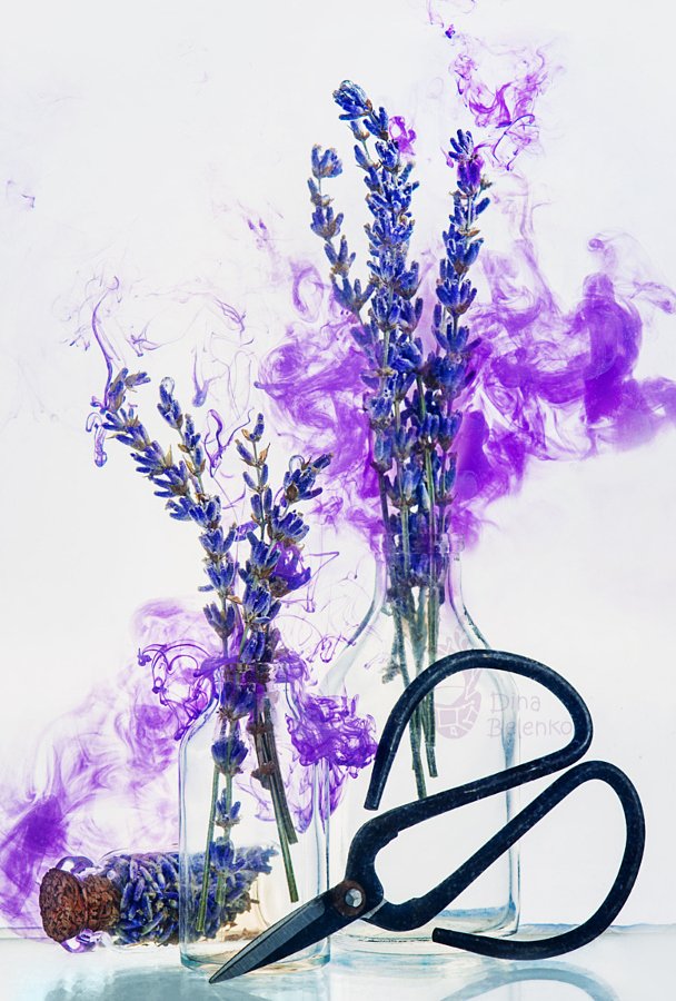 MutzMedia's tweet photo. Tutorial: How To Take Your Still Life Flower Photos To The Next Level #photography #phototi… https://t.co/V5qLz95MnT https://t.co/8CVNUtyoqZ