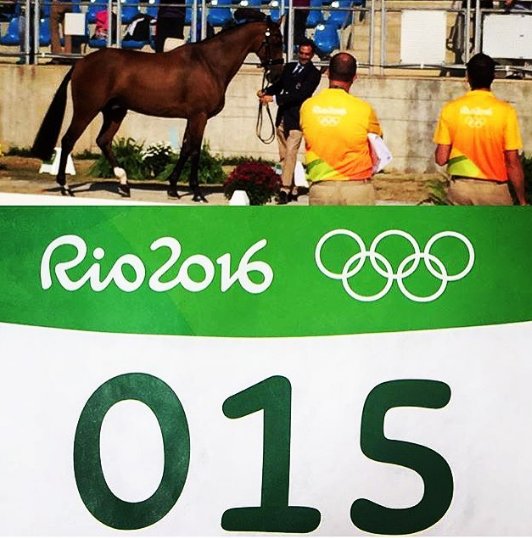 Albert_Hermoso's tweet photo. Doma #TeamESP mañana 6 de agosto a las 12:08 h (ESP: 17:08 h) #HitoCP #Rio2016 #EquestrianEventing https://t.co/c5mzi1ubsd