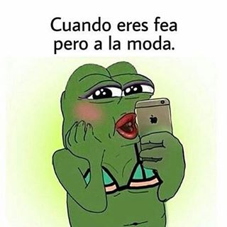 VersoEnImagenes's tweet photo. https://t.co/lGLkfYJFfG