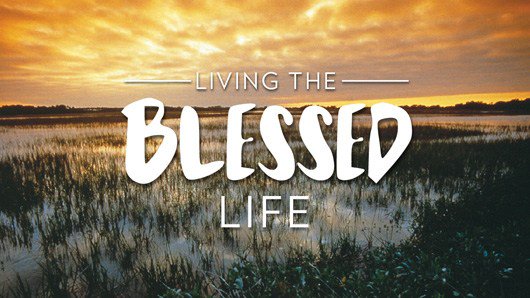 graceviewbc's tweet photo. The Blessed Life… https://t.co/QdYMrcB6Nc https://t.co/PrQqj39t7z