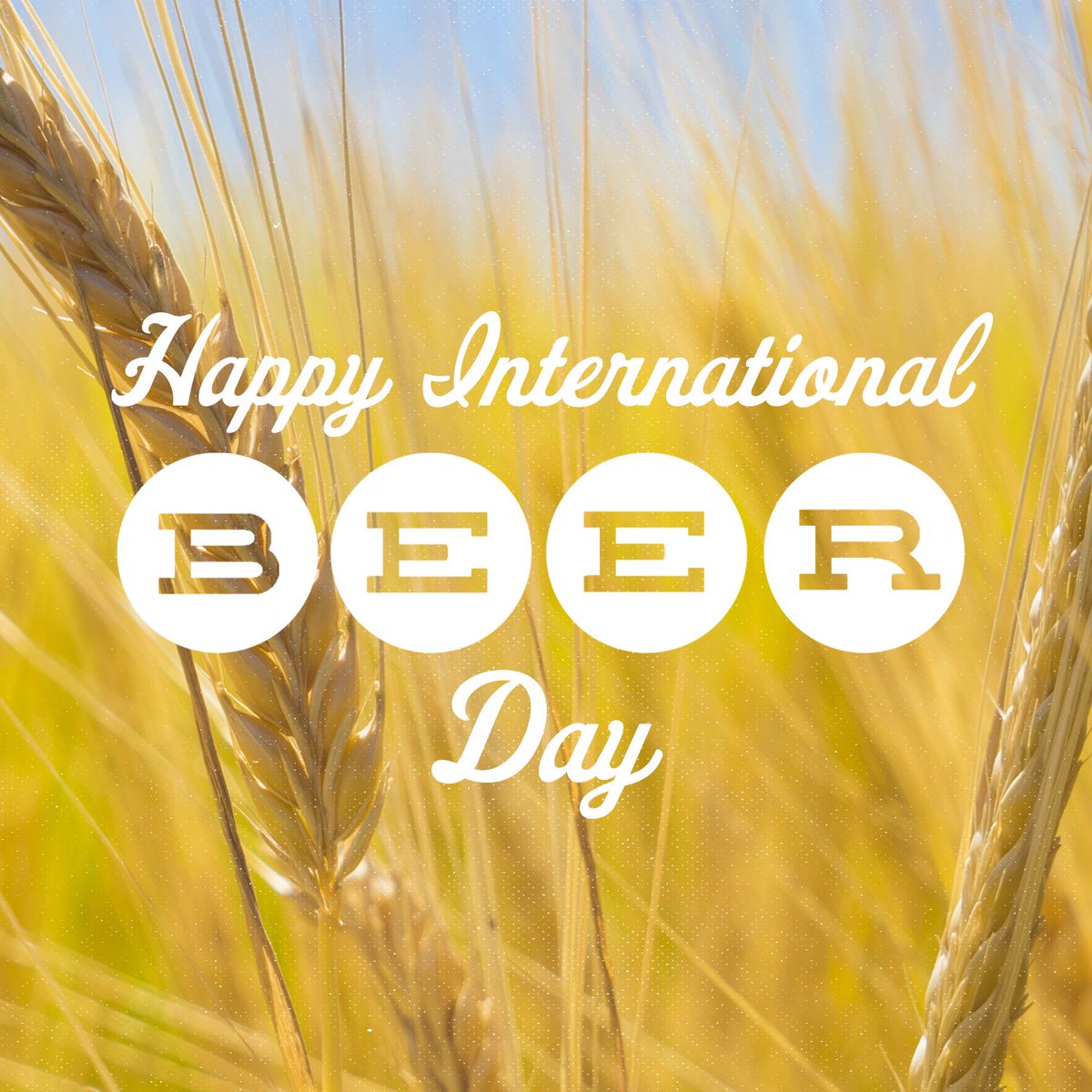LetsGrabABeer's tweet photo. No matter where the beer goes, it starts right here, in a barley field. Happy #InternationalBeerDay. https://t.co/YxPm9wfXtZ