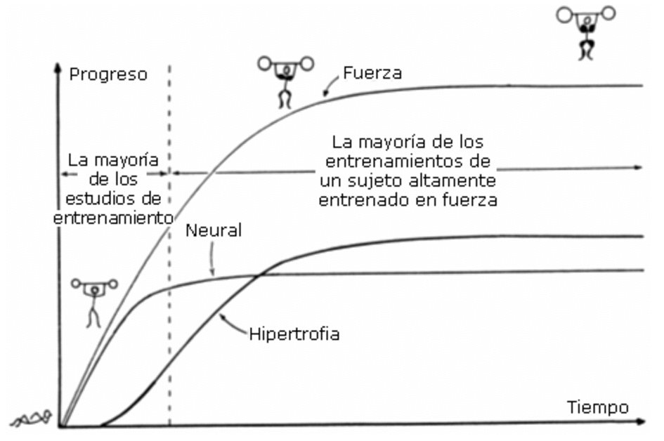 IMTSystem's tweet image. Desarrollo de la Fuerza en el Deportista Joven por Mikel Izquierdo en @gsesocial g-se.com/es/entrenamien…