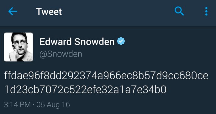 View image on Twitter