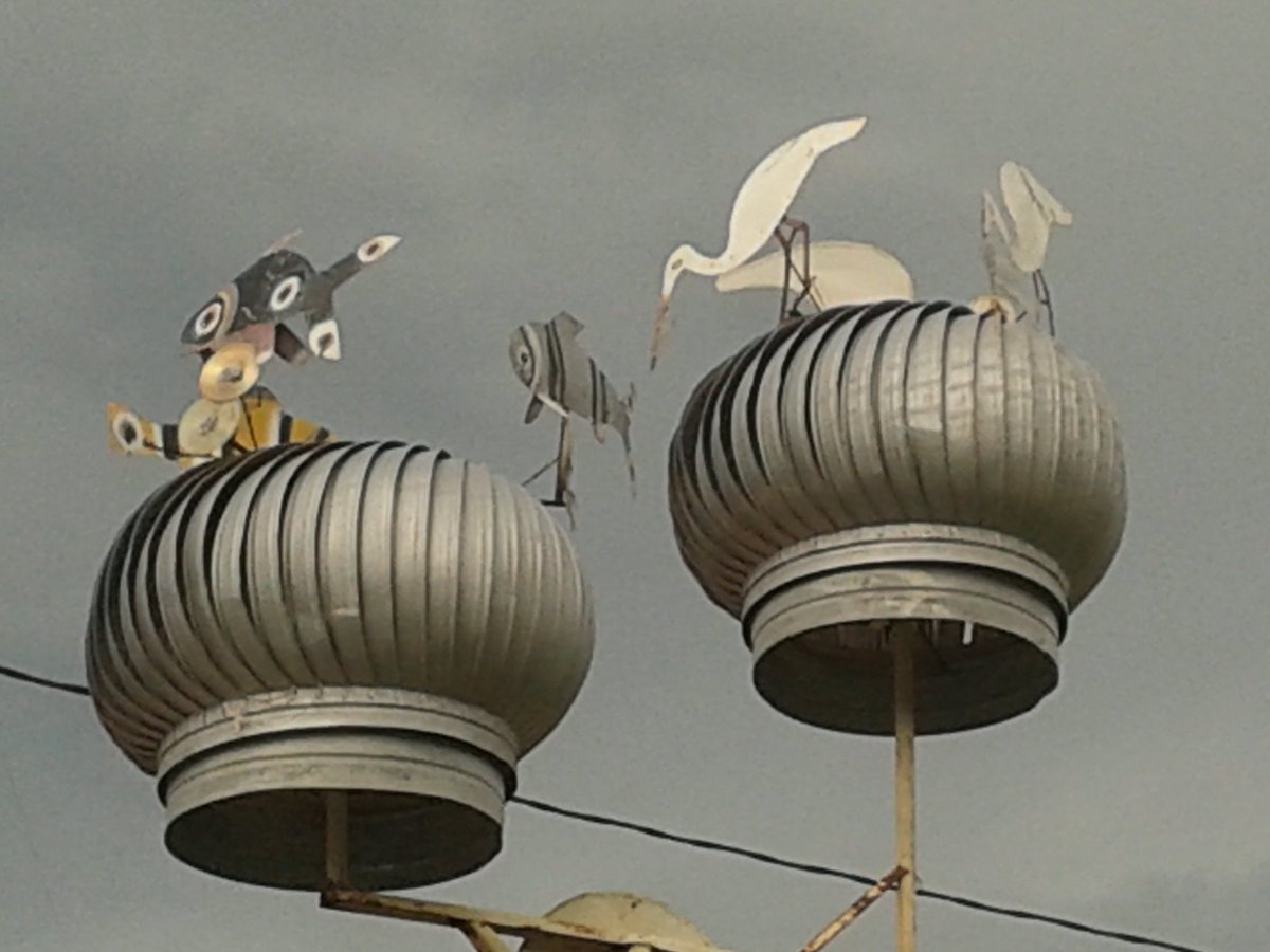 Operação beta lab! (@suelili2016) on Twitter photo 