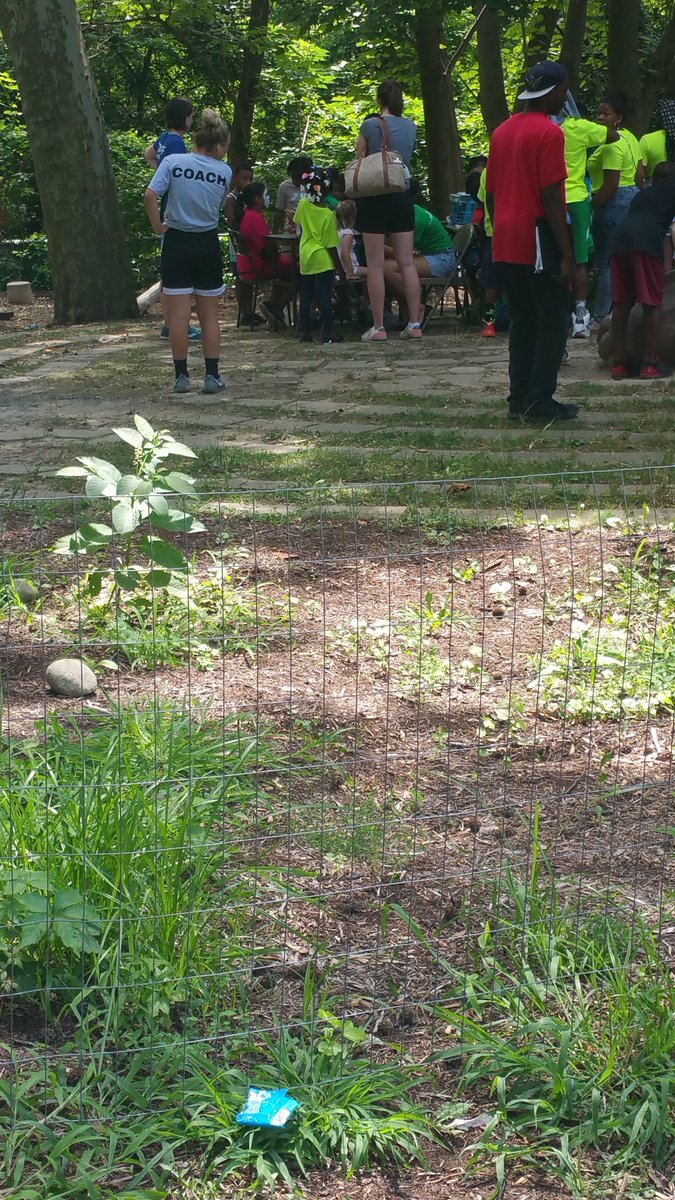 PhillyPlay24's tweet photo. #ADAYOFALLDAYS
#PHILLYPLAY 
#SMITHPLAYGROUND https://t.co/0IRztc9caS