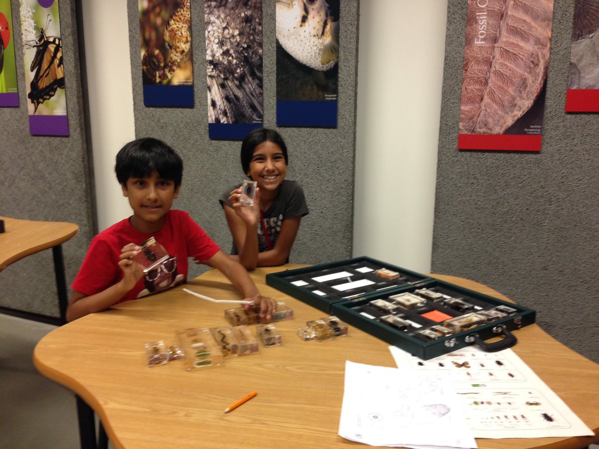 BeingKulvir's tweet photo. We 💞 Discovery Lab - Fun interactive area for everyone @beatymuseum @UBC #beatymuseum @Our_KIDSWORLD #beatymeadows https://t.co/mB40eDJJzg