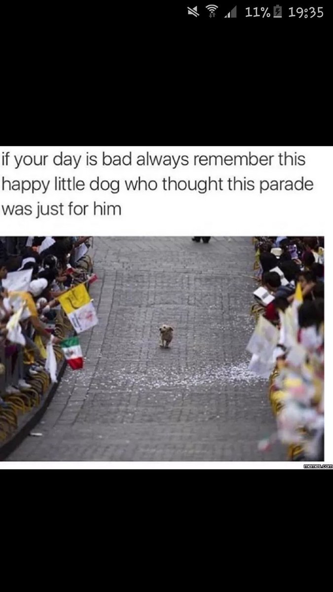 DemResearch's tweet image. 