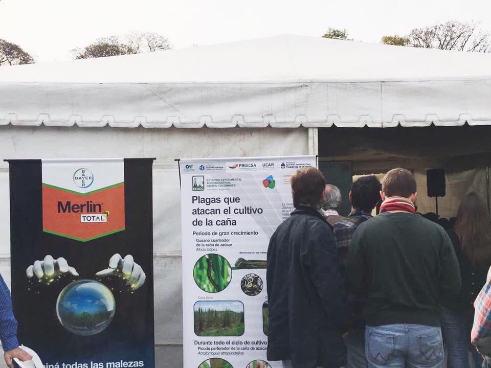proagrosrl's tweet photo. Desde el #Taller #Fitosanitario de #Cañadeazucar, a cargo de la #EEAOC • #campo #agro #merlintotal #proagro @Bayer https://t.co/xPmyNN3zpF