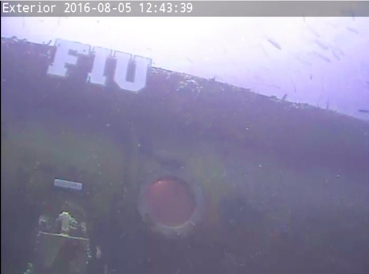 ESAstro_trainer's tweet photo. The #NEEMO21 Aquanauts left their Mothership Aquarius @ReefBase &amp; are back to surface @NASA_NEEMO :awesome mission! https://t.co/Yj9LT8Z3nP