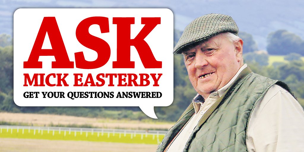 Have you got a question for Mick Easterby? Send it in here >>> bit.ly/2aGIgnu