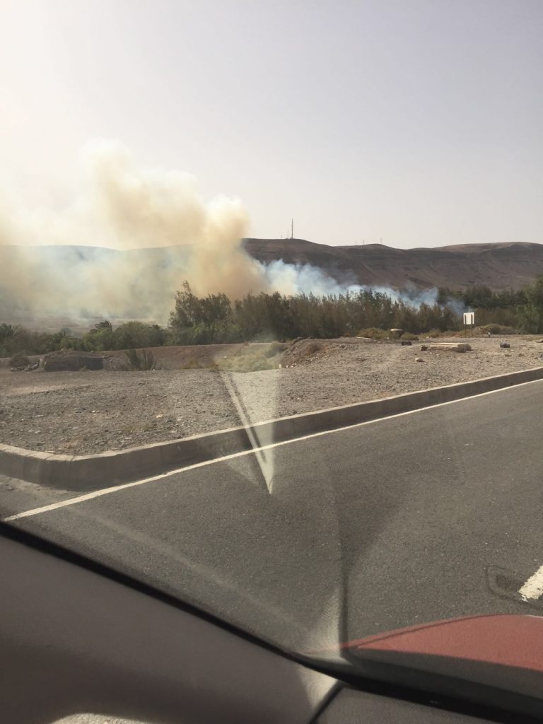 enftva's tweet photo. #enfuerteventura - Incendio en Oasis Park pudo ser provocado @enftva -  https://t.co/MbnKWa1kd6 https://t.co/yGSLgOmY3S