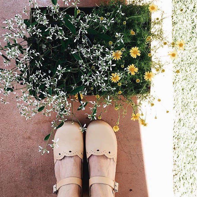 sandgrenssweden's tweet photo. https://t.co/TnVs95SM1I
Milan in Nude!
#clogs #clogs #shoes #sandgrensclogs #summer #handmade #craftsmanwork #wood https://t.co/n5xU7S6eJA