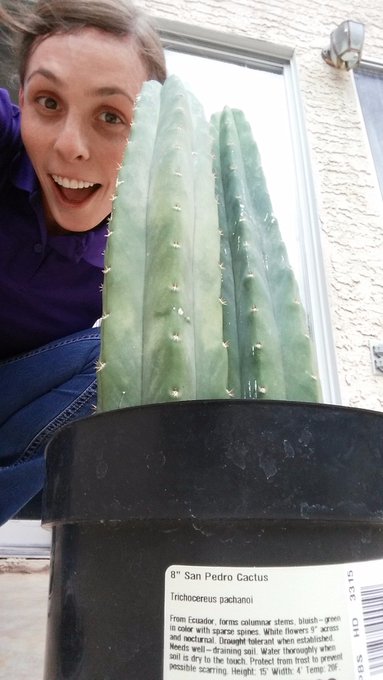 yes, they totally sell these at Home Depot!!! https://t.co/hqCCpsyWT9