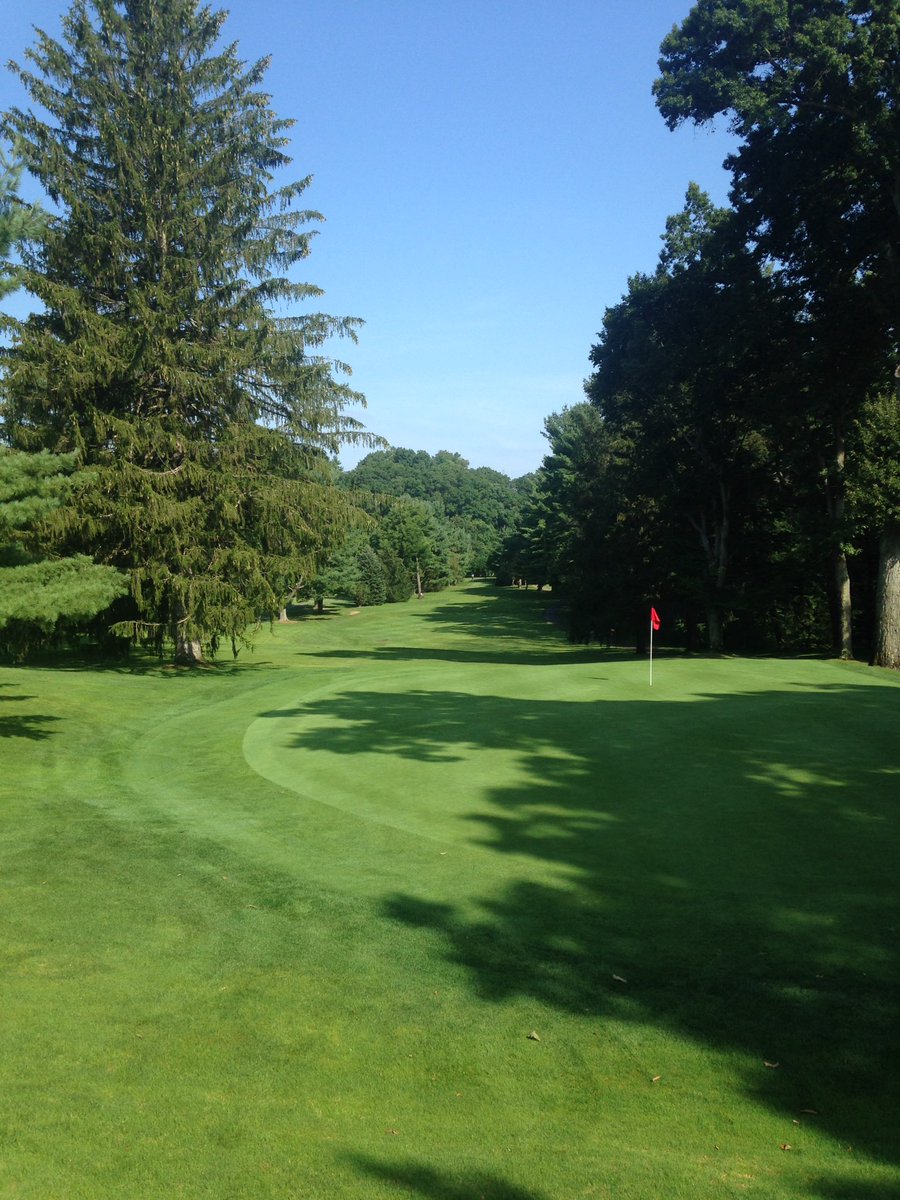 BucciOT.Com tweet media