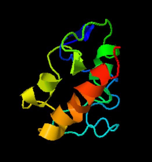 JohnMulley's tweet photo. Protein structure predictions always look so pretty. #lookatalltheprettycolours #venom https://t.co/83RkeCv8ER