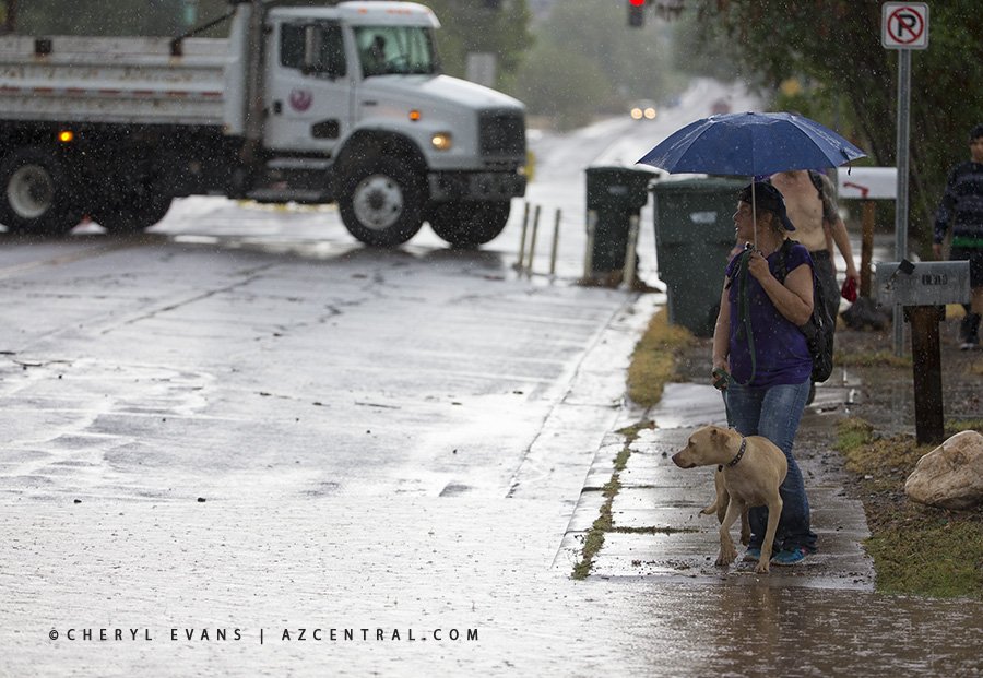 Cheryl Evans tweet media