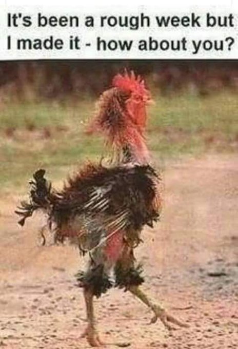 Since I didn't kill myself over all the shit that happened this week I know I can make it thru anything<a href="/tag/la"class="tags"><span>#la</span></a><a href="/tag/coast2coast"class="tags"><span>#coast2coast</span></a>