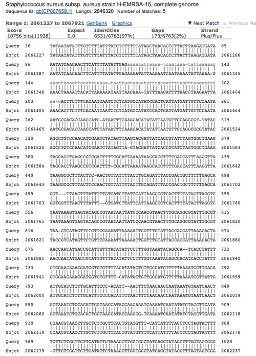 pathogenomenick's tweet photo. Yeah, @nanopore is getting rather good. First read I BLASTed from a new R9 2D run: https://t.co/ufhRv065aX