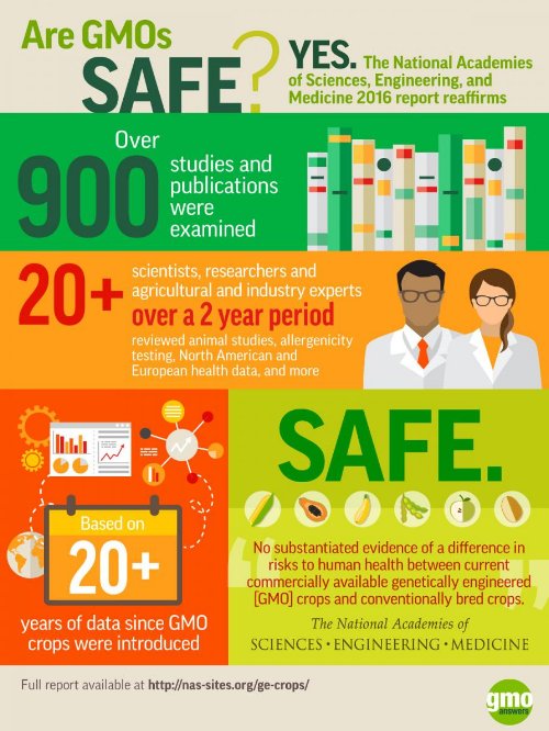Safe Affordable Food (@safeaffordable) on Twitter photo A great recap of the scientific consensus surrounding the safety of agricultural biotechnology, via <a href="/GMOAnswers/">GMOAnswers</a>. A great recap of the scientific consensus surrounding the safety of agricultural biotechnology, via <a href="/GMOAnswers/">GMOAnswers</a>.