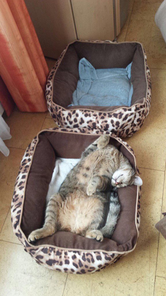 Roger994784031's tweet photo. Weekend https://t.co/Zj6AcdO8JP
