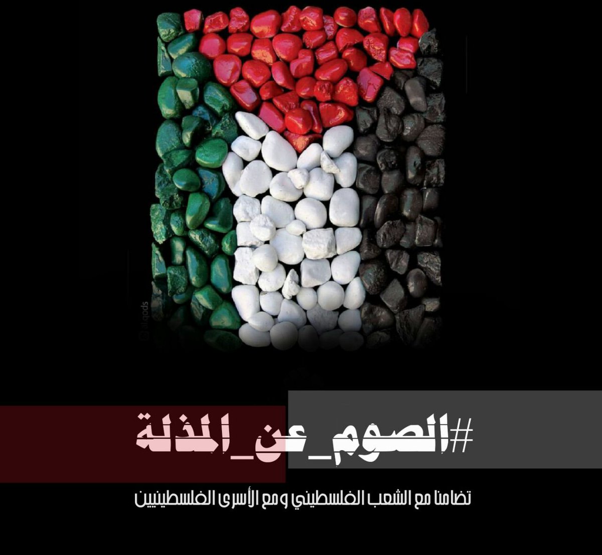 fatimafa202's tweet photo. فلسطين لنا
الحق لنا
#الصوم_عن_المذلة https://t.co/9Wx1iKOG4v