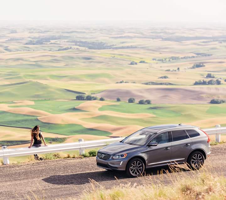VolvoSedauto's tweet photo. #Sedauto os desea un feliz fin de semana https://t.co/mz6fnVxEYa