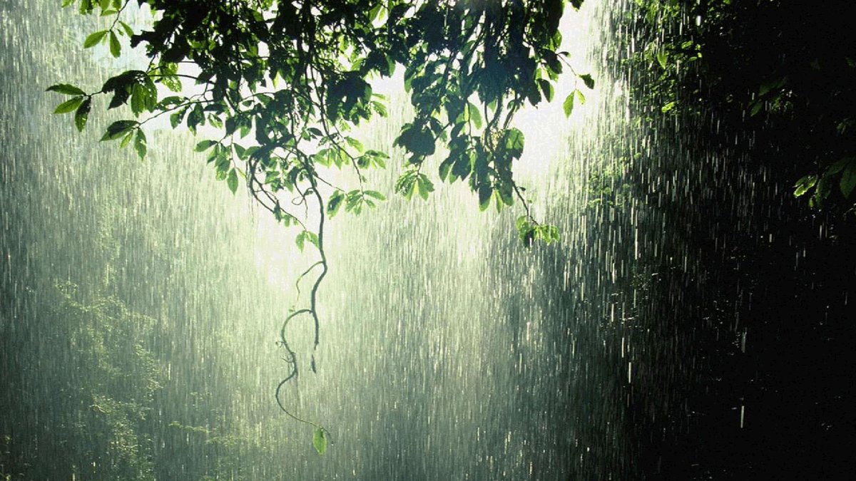 chair2ceointros's tweet photo. #rainynightinga #ilovetherainynights #playinpuddles #raindropskeepfallingonmyhead #intoeachlifesomerainmustfall https://t.co/rVRF9RnQ6O