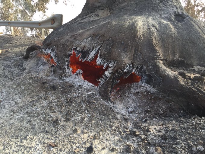 Ver imagen en Twitter Ver imagen en Twitter