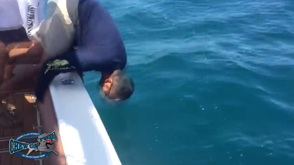 WATCH Fla. fisherman gets pulled into water by massive 400-lb. grouper bit.ly/2aAIkaT?utm_me… https://t.co/7scXDiuApv