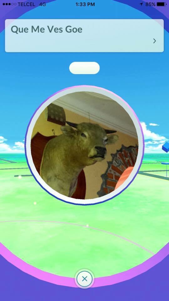 Cuando estoy jugando Pokemon en mi coche y pasa la gente caminando.