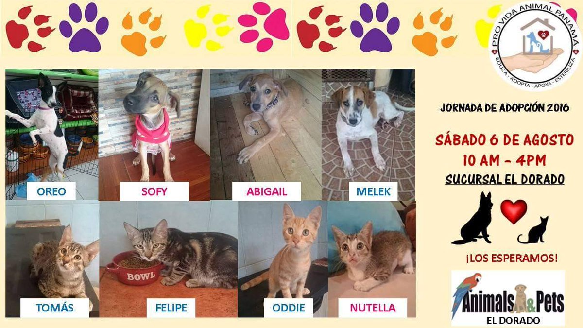 RT <a href="/OpinoPanama/">Opino Panama</a> <a href="/PanamaAmerica/">PanamáAmérica</a> <a href="/CoolFMPanama/">Cool FM Panamá 89.3 F.M.</a> <a href="/Antena8panama/">Antena 8 Panama 1001. F.M.</a> <a href="/PanamaNewZ/">Panama Newz</a> <a href="/EstudiantesPTY/">Estudiantes Panama</a> <a href="/CriticaPa/">Diario Crítica</a> <a href="/eventosymaspty/">Eventos y Mas Panama</a>