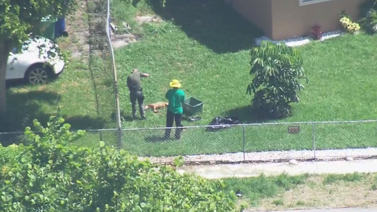 Dog shot dead by BSO deputy serving search warrant at Lauderhill home bit.ly/2b1Bhar?utm_me… https://t.co/vyvgUkHBTV