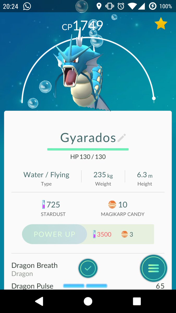 My first #gyarados not too bad (93% perfect IVs)