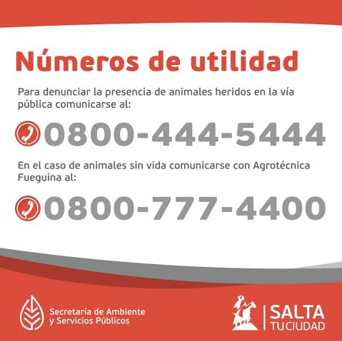 MuniSaltaok's tweet photo. 🐶 IMPORTANTE Si ves un animal herido o sin vida en la vía pública no dejes de comunicarte a los siguientes teléfonos https://t.co/vo7YPy1CaB