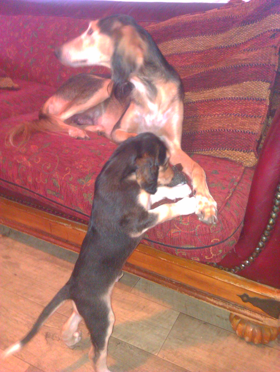 JabMove's tweet image. TIA  AND SON....6 WEEKS OLD.....