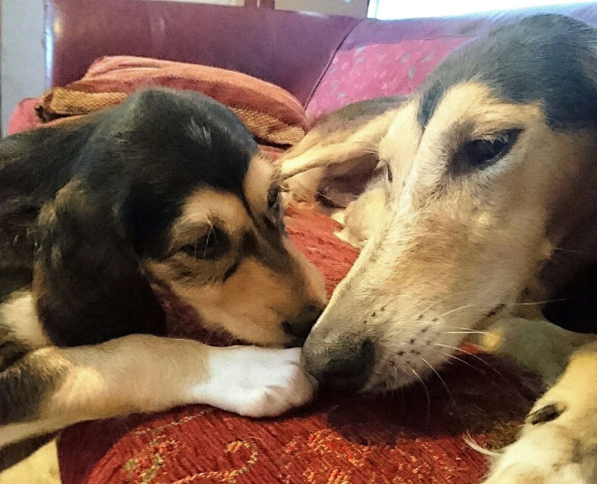 JabMove's tweet image. TIA  AND SON....6 WEEKS OLD.....