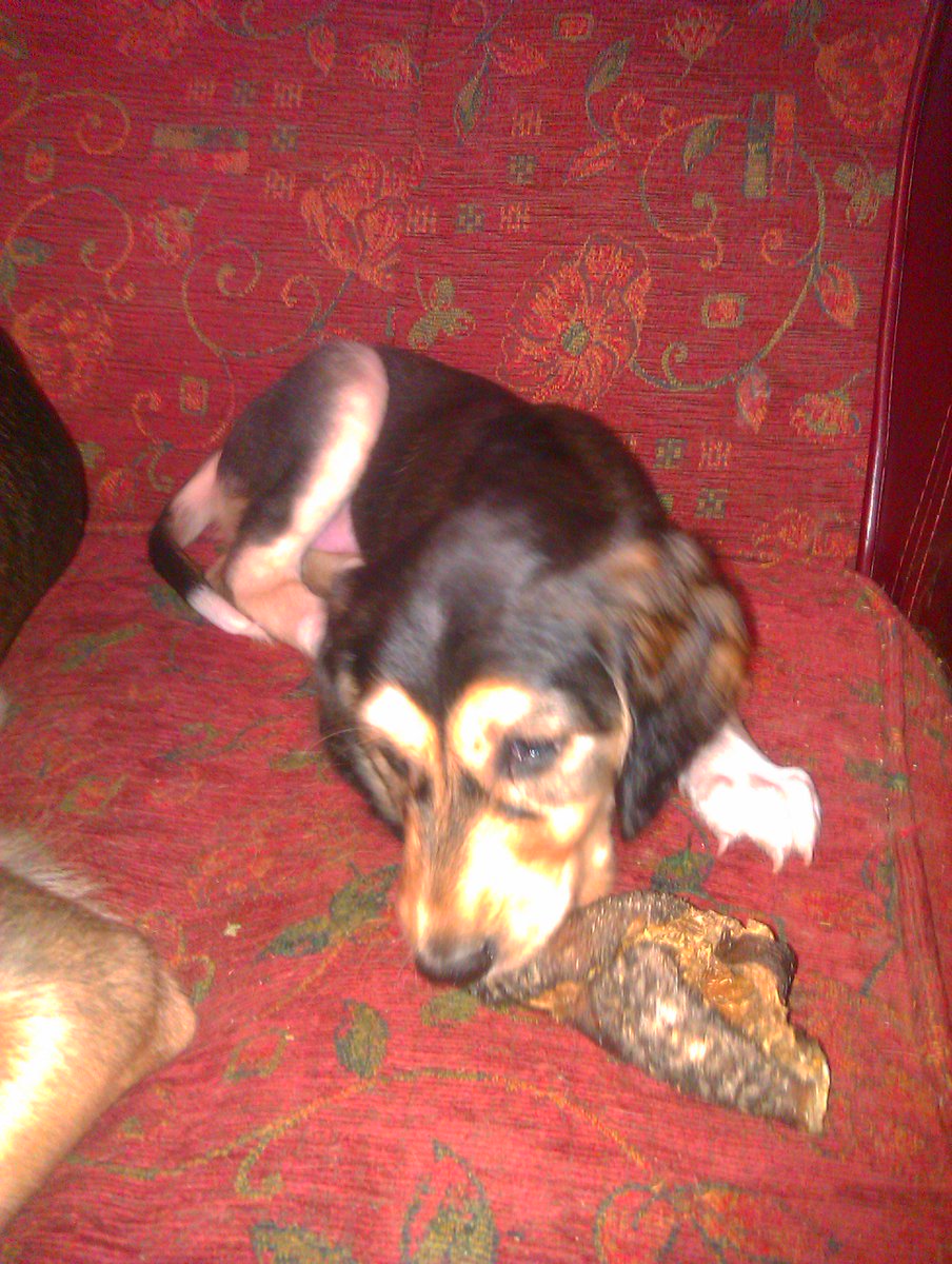 JabMove's tweet image. TIA  AND SON....6 WEEKS OLD.....