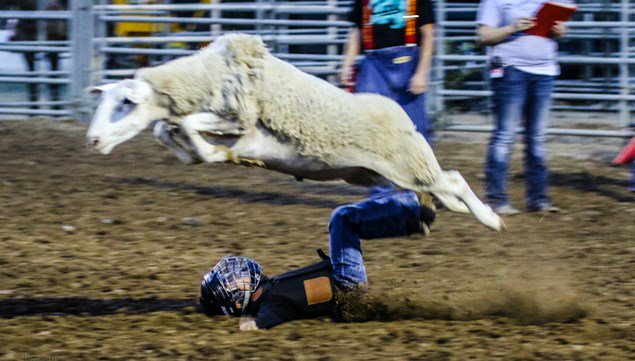 CABizOasis's tweet photo. Mark your calendars! The annual @ButteCountyFair will be open from August 25-28. Learn more: https://t.co/CYZEifuZ45 https://t.co/R6x6tymYnM
