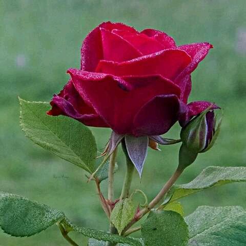 Operação beta lab! (@suelili2016) on Twitter photo 