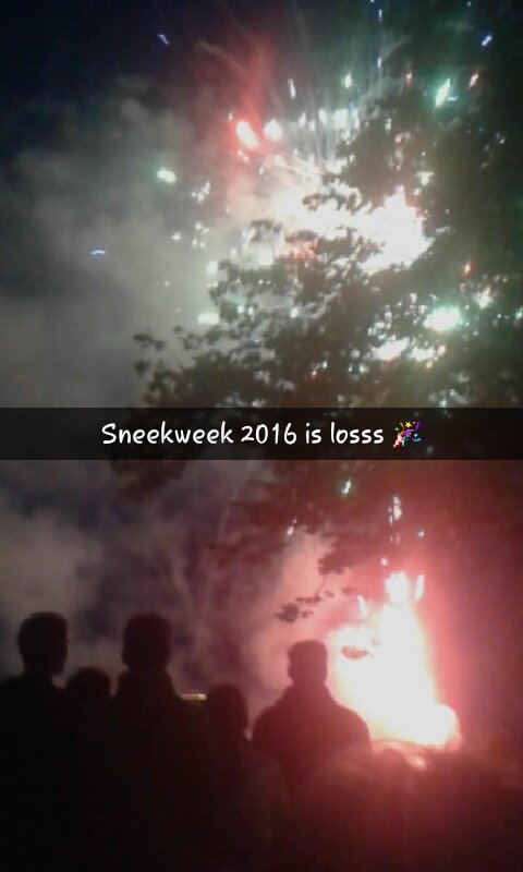 Kimberly Visser tweet media